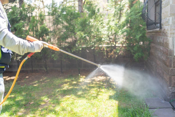 Best Commercial Pest Control  in Woodbine, NJ